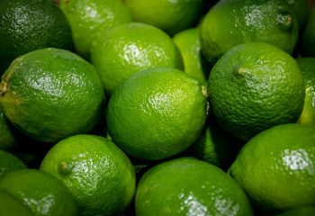 foto-5-celifrut-armenia-quindio-colombia-naranja-limon-exportacion